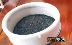 虫茶怎么泡? 虫茶怎么泡