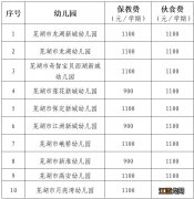 芜湖三山区公办幼儿园收费标准2022年秋季