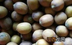 莲子壳泡茶的功效与作用 莲子壳可以泡茶吗