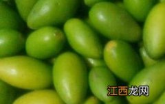 青橄榄怎么吃 青橄榄怎么吃治咽炎