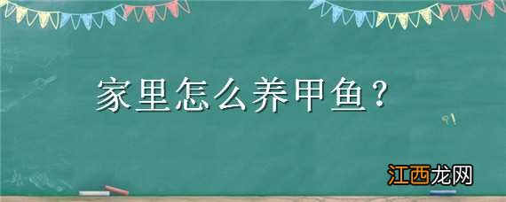 家里怎么养甲鱼视频教程 家里怎么养甲鱼