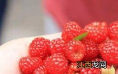 覆盆子茶的功效与作用有哪些 覆盆子花茶功效与作用