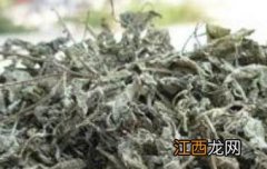 莓茶的功效与作用禁用怎样泡莓茶 莓茶的功效与作用