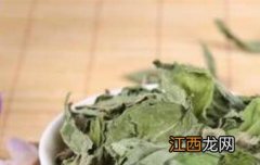 甜菊叶泡水的功效与作用及禁忌 甜菊叶泡水的功效与作用