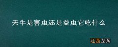 天牛是害虫还是益虫它吃什么药 天牛是害虫还是益虫它吃什么