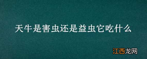 天牛是害虫还是益虫它吃什么药 天牛是害虫还是益虫它吃什么