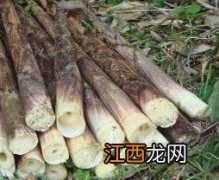 竹笋的做法大全家常炒菜 竹笋