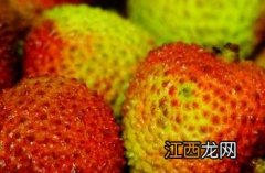 荔枝 荔枝玫瑰花语是什么意思