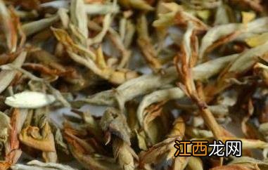 老鹰茶的功效与禁忌 老鹰茶的功效与禁忌及禁忌