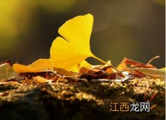 ?23日秋分至秋分是什么意思