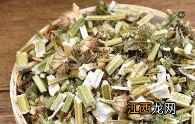 益母草茶怎么喝效果好 益母草茶怎么喝效果好呢