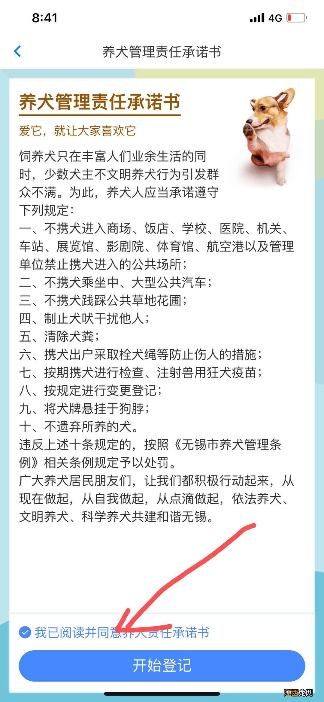 江阴养狗要办理狗证吗 江阴狗证网上办理指南