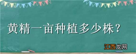 黄精一亩栽多少株 黄精一亩种植多少株