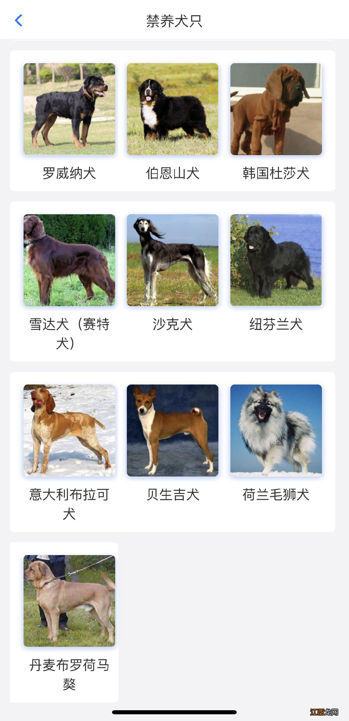 无锡37种烈性犬名单 无锡禁养犬名单