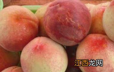 寒露蜜桃什么时候成熟 寒露蜜桃什么时候上市
