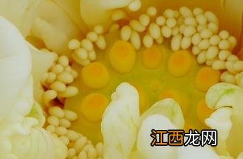 白雪公主的故事 白雪公主