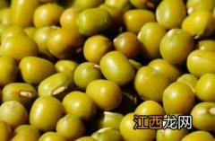 绿豆皮 绿豆皮可以吃吗有什么营养