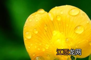 花生壳内网穿透 花生壳