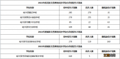 2022年哈尔滨市民办义务教育学校招生计划表