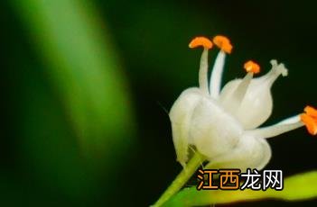 天门冬氨酸氨基转移酶高说明什么 天门冬