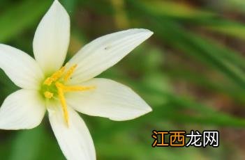 风雨花满楼 风雨花