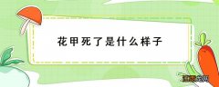 花甲死了是什么样子的 花甲死了是什么样子