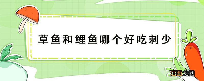 草鱼和鲤鱼哪个好吃刺少 草鱼和鲤鱼哪个小刺少