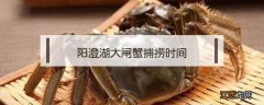 阳澄湖大闸蟹捕捞时间 阳澄湖螃蟹捕捞时间