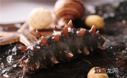 海参能天天吃吗 燕窝花胶海参能天天吃吗