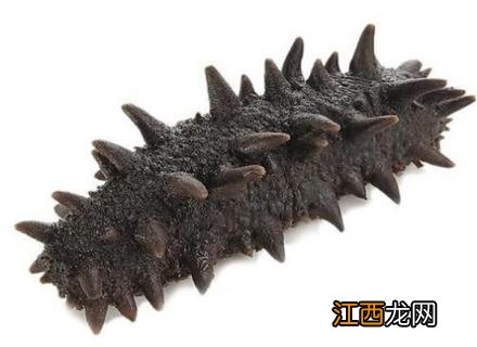 干海参是黑色的好啊还是褐色的好 干海参颜色越黑越好吗