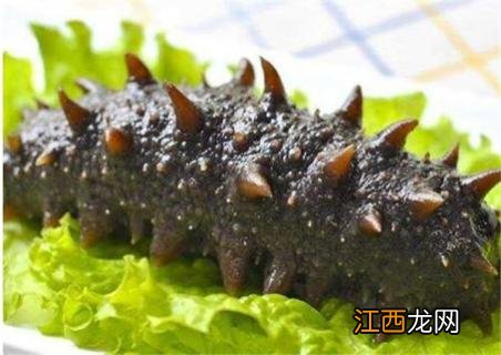 干海参是黑色的好啊还是褐色的好 干海参颜色越黑越好吗