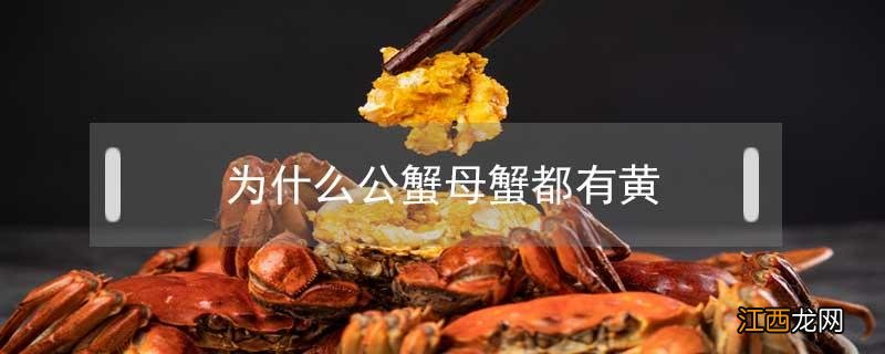 为什么公蟹母蟹都有黄 为什么螃蟹公母都有蟹黄
