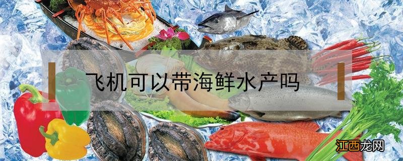海鲜水产能带上飞机吗 飞机可以带海鲜水产吗