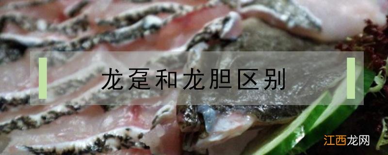 龙趸和龙胆是同一种鱼吗 龙趸和龙胆区别