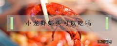 小龙虾虾头可以吃不 小龙虾虾头可以吃吗