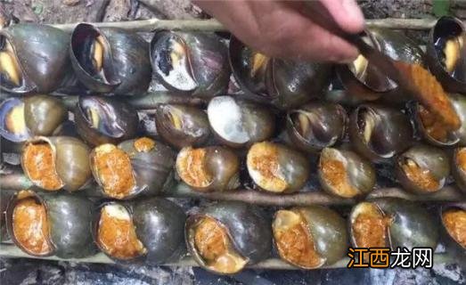 福寿螺可以吃吗? 福寿螺可以吃吗