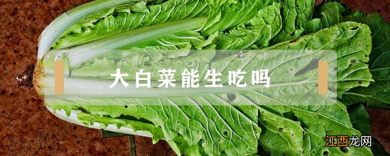 大白菜能生吃吗 大白菜可不可以生吃