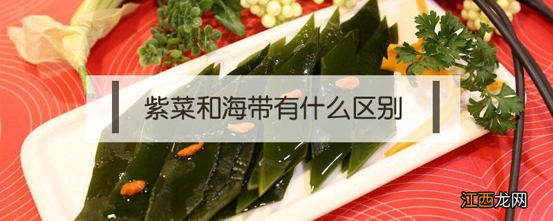 紫菜和海带有什么区别 紫菜和海带一样吗