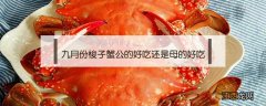 9月梭子蟹公的好还是母的好 九月份梭子蟹公的好吃还是母的好吃