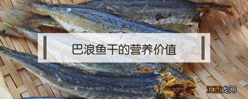 巴浪鱼干的营养价值 巴浪鱼干的营养价值及功效与作用