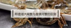 阳澄湖大闸蟹与盘锦河蟹的区别 下章鱼