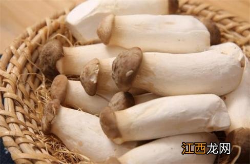 杏鲍菇焯水多长时间 杏鲍菇焯水多长时间能熟透