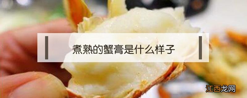 煮熟的蟹膏是什么样子 蟹里面的膏是什么