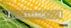 生玉米能吃吗百度百科 生玉米能吃吗