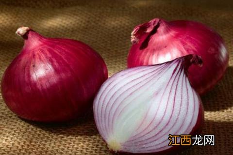 葱发芽了绿芽能吃吗 洋葱发的绿芽可以吃吗