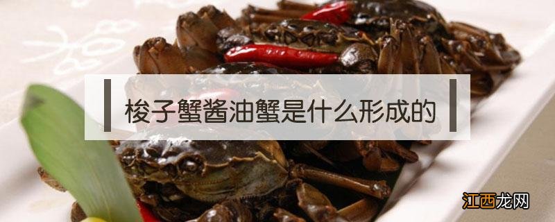 酱油水梭子蟹 梭子蟹酱油蟹是什么形成的