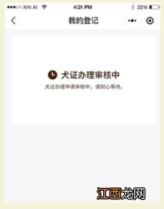 2020宁波养犬管理最新规定 2020年宁波犬只准养登记办理指南