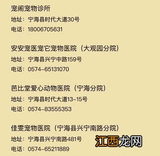 宁波犬证办理流程 2020年宁波犬证办理指南