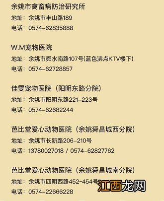 宁波犬证办理流程 2020年宁波犬证办理指南