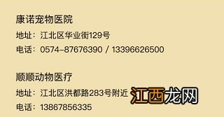 宁波犬证办理流程 2020年宁波犬证办理指南